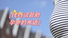 ��������ӦƸ�ؿ����Թ�Ӥ����������õ�ʮ������ڸ���ϸ����